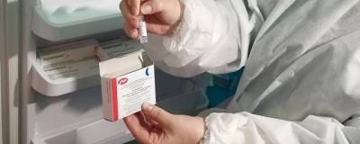 Вероника Ремишова - В Словакии не договорились о закупке вакцины «Спутник V» - runews24.ru - Евросоюз - Словакия