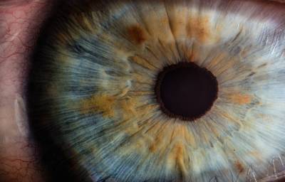 Коронавирус может повредить глаза: новое исследование - 24tv.ua - Франция