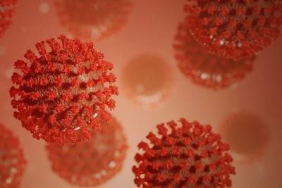 В Чувашии выявили 57 новых больных коронавирусом, умерли шестеро - cheb.mk.ru - республика Чувашия