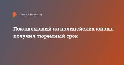 Покашлявший на полицейских юноша получил тюремный срок - ren.tv - Дания