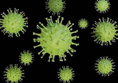 Роланд Визендангер - Ученый из Германии заявил, что коронавирус «сбежал» из китайской лаборатории - ya62.ru - Китай - Германия - Ухань