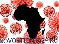 Африканский штамм коронавируса оказался опаснее британского - novostidnya24.ru