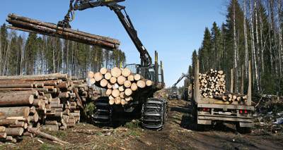 Экспортирует лес, а импортирует машины: с кем торговала Латвия в 2020 году - lv.sputniknews.ru - Россия - Эстония - Швеция - Польша - Латвия - Литва - Рига - Торговля
