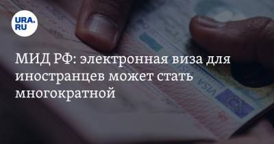 Иван Волынкин - МИД РФ: электронная виза для иностранцев может стать многократной - ura.news - Россия