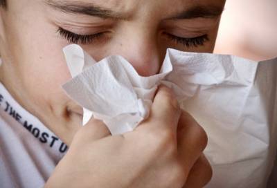 Учёные предупредили о возможной эпидемии гриппа следующей зимой - online47.ru