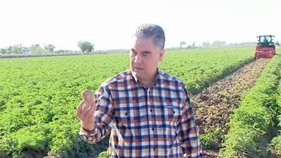 Гурбангулы Бердымухамедов - Бердымухамедов провел совещание на тему агропрома и поручил ученым повысить урожайность картофеля - hronikatm.com