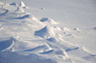 В последнюю неделю января рязанцы чаще всего жаловались на уборку снега - 7info.ru