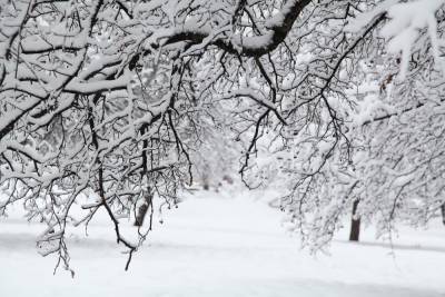 В Запорожье в феврале прогнозируют “температурные качели” - inform.zp.ua - Запорожье