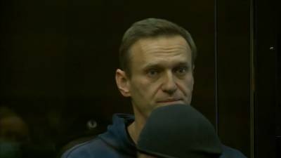 Алексей Навальный - Новости на "России 24". Главное за день - vesti.ru - Россия
