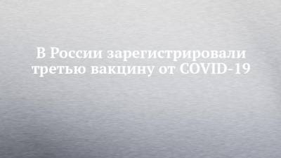 Михаил Мишустин - В России зарегистрировали третью вакцину от COVID-19 - chelny-izvest.ru - Россия