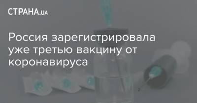 Михаил Мишустин - Россия зарегистрировала уже третью вакцину от коронавируса - strana.ua - Россия