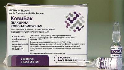 Первые 120 тысяч доз вакцины «КовиВак» поступят в гражданский оборот уже в середине марта - 1tv.ru - Россия