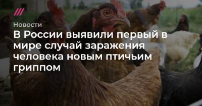 В России выявили первый в мире случай заражения человека новым птичьим гриппом - tvrain.ru - Россия
