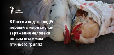 Анна Попова - В России подтверждён первый в мире случай заражения человека новым штаммом птичьего гриппа - svoboda.org - Россия