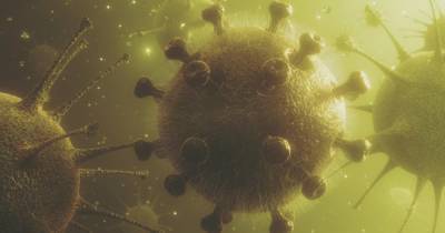Ученые исследовали продолжительность иммунитета к коронавирусу - ren.tv