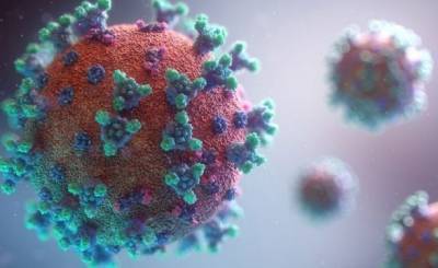 В Швеции обнаружили “бразильский” штамм коронавируса - unn.com.ua - Киев - Швеция - Стокгольм