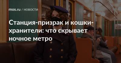 Станция-призрак и кошки-хранители: что скрывает ночное метро - mos.ru - Москва