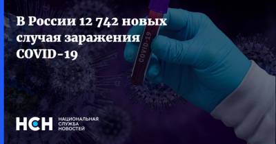 В России 12 742 новых случая заражения COVID-19 - nsn.fm - Россия