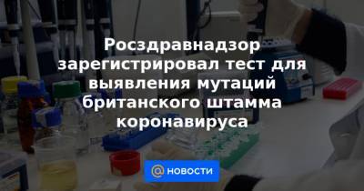 Алла Самойлова - Росздравнадзор зарегистрировал тест для выявления мутаций британского штамма коронавируса - news.mail.ru - Россия