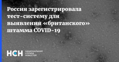Россия зарегистрировала тест-систему для выявления «британского» штамма COVID-19 - nsn.fm - Россия