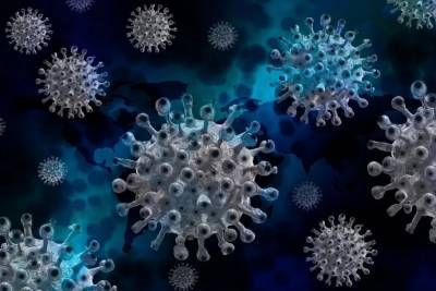 В Австрии назвали сроки сохранения иммунитета к коронавирусу - mk.ru - Австрия