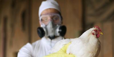 Анна Попова - В России зафиксировали первый в мире случай инфицирования человека птичьим гриппом - sharij.net - Россия