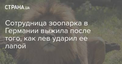 Сотрудница зоопарка в Германии выжила после того, как лев ударил ее лапой - strana.ua