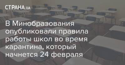 В Минобразования опубликовали правила работы школ во время карантина, который начнется 24 февраля - strana.ua