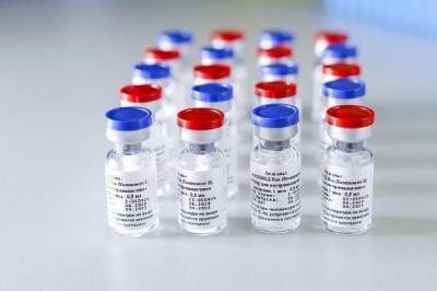 Тридцатая страна одобрила российскую вакцину "Спутник V" - obzor.lt - Россия - Евросоюз - Сан Марино - Сан Марино