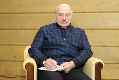 Владимир Путин - Александр Лукашенко - Лукашенко объявил о создании собственной вакцины от коронавируса - lenta.ru - Россия - Сочи
