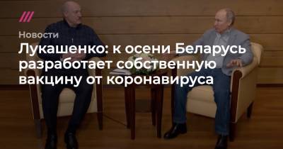 Лукашенко: к осени Беларусь разработает собственную вакцину от коронавируса - tvrain.ru