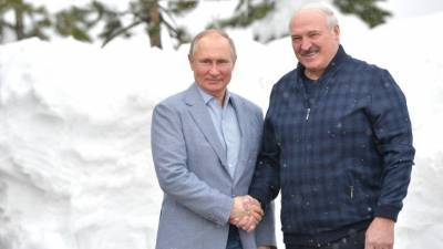 Владимир Путин - Александр Лукашенко - Путин пригласил Лукашенко на лыжную прогулку в Сочи - 5-tv.ru - Россия - Сочи