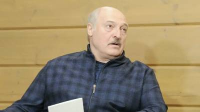 Александр Лукашенко - Лукашенко выразил надежду на скорое возобновление автосообщения с Россией - russian.rt.com - Россия