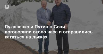 Владимир Путин - Александр Лукашенко - Дмитрий Медведев - Лукашенко и Путин в Сочи поговорили около часа и отправились кататься на лыжах - news.tut.by - Сочи - Президент