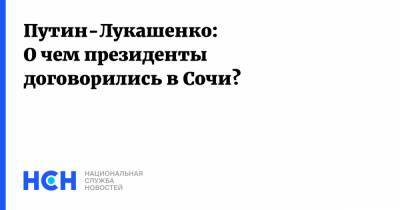 Владимир Путин - Путин-Лукашенко: О чем президенты договорились в Сочи? - nsn.fm - Россия - Москва - Минск - Сочи