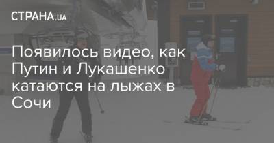 Владимир Путин - Александр Лукашенко - Появилось видео, как Путин и Лукашенко катаются на лыжах в Сочи - strana.ua - Сочи