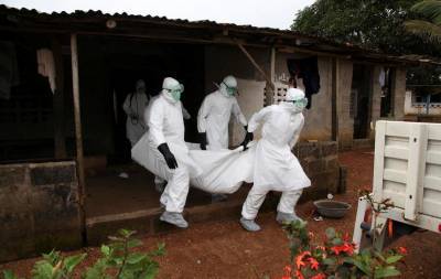 В Гвинее и Конго вспышка Эболы, есть умершие - news.bigmir.net - Конго - Гвинея