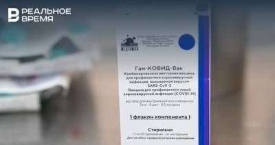 Максим Платонов - «Спутник V» зарегистрировали в Киргизии - realnoevremya.ru - Киргизия