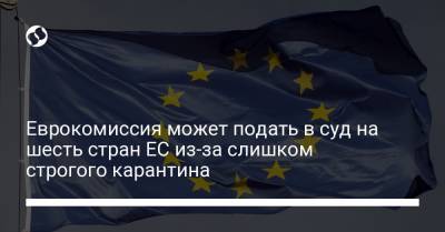 Еврокомиссия может подать в суд на шесть стран ЕС из-за слишком строгого карантина - liga.net - Украина - Финляндия - Евросоюз - Швеция - Дания - Бельгия - Венгрия