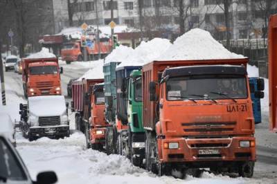 Синоптики предупредили о возобновлении сильного снегопада в Москве 24 февраля - argumenti.ru - Россия - Москва