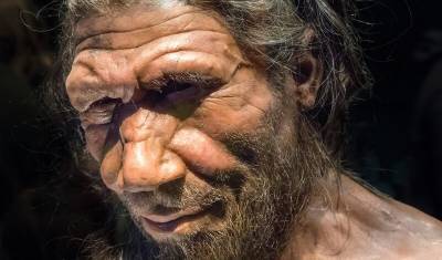 Ученые нашли гены от неандертальцев, которые облегчают течение ковид - newizv.ru