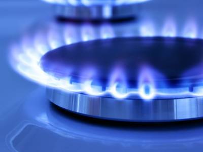 Восемь газсбытов установили в марте цену на газ для населения ниже предельной - gordonua.com