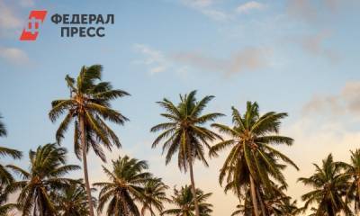 Где хотят отдохнуть россияне: пять популярных направлений - fedpress.ru - Россия - Москва - Италия - Египет - Испания - Таиланд
