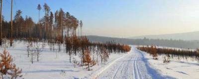 Ученые обнаружили в Сибири древнейший в мире случай чумы - runews24.ru