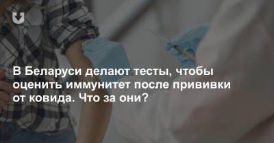 В Беларуси делают тесты, чтобы оценить иммунитет после прививки от ковида. Что за они? - news.tut.by