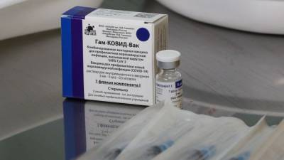 Отпускная цена на вакцину «Спутник V» снижена в два раза - 5-tv.ru - Россия