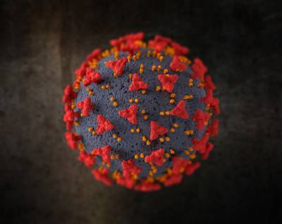 Исследование: Повторные заражения коронавирусом очень редки - news.bigmir.net