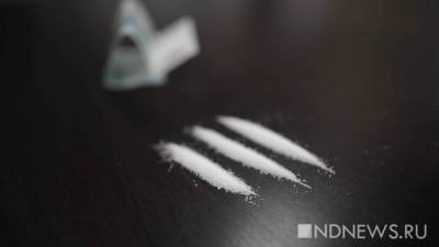 В Европе изъяли крупнейшую партию кокаина на миллиарды евро - newdaynews.ru - Бельгия - Парагвай - Гамбург