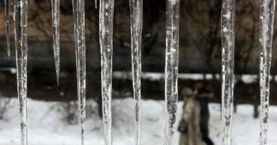 В пятницу в Украине будет сухо и по-весеннему тепло: прогноз погоды на 26 февраля - tsn.ua - Киев