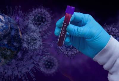 В Ленобласти новые 143 случая коронавируса выявили 25 февраля в 14 районах - online47.ru - Ленобласть обл.